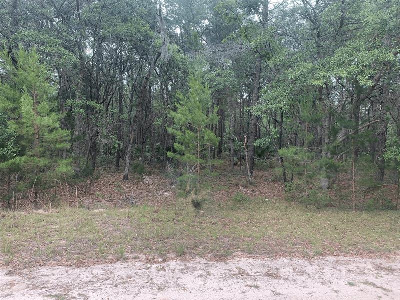 Huron Interlachen FL 32148