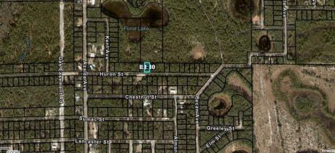 Huron Interlachen FL 32148