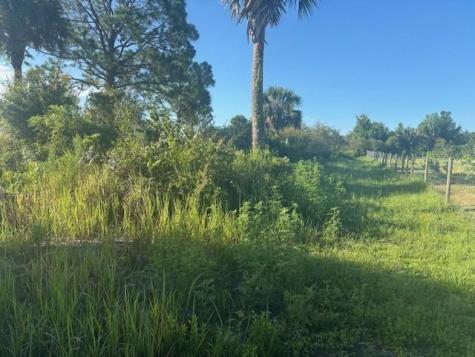 19216 NW 300th Street Okeechobee FL 34972