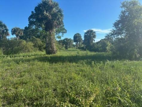 19216 NW 300th Street Okeechobee FL 34972