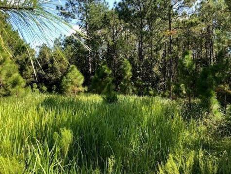 Old Grade Road Other City - In The State Of Florida FL 33868