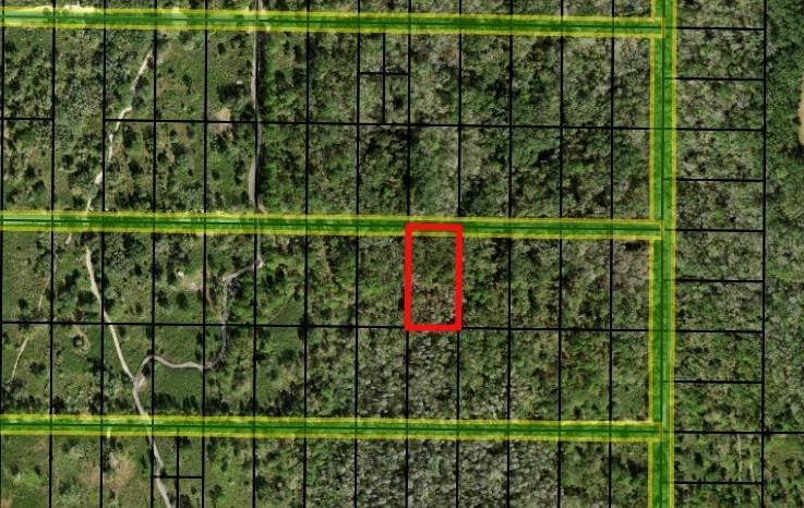 County Road 54 E Kathleen FL 33849