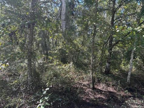 County Road 54 E Kathleen FL 33849