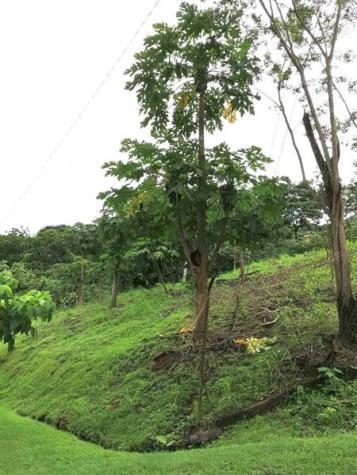 LOT E-7A Las Cumbres, Panama City, Panama Other County - Not In USA NO