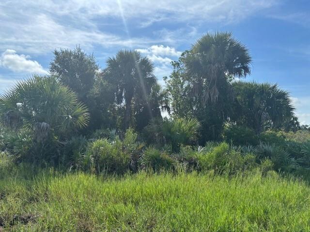 NW 308th Street Okeechobee FL 34972