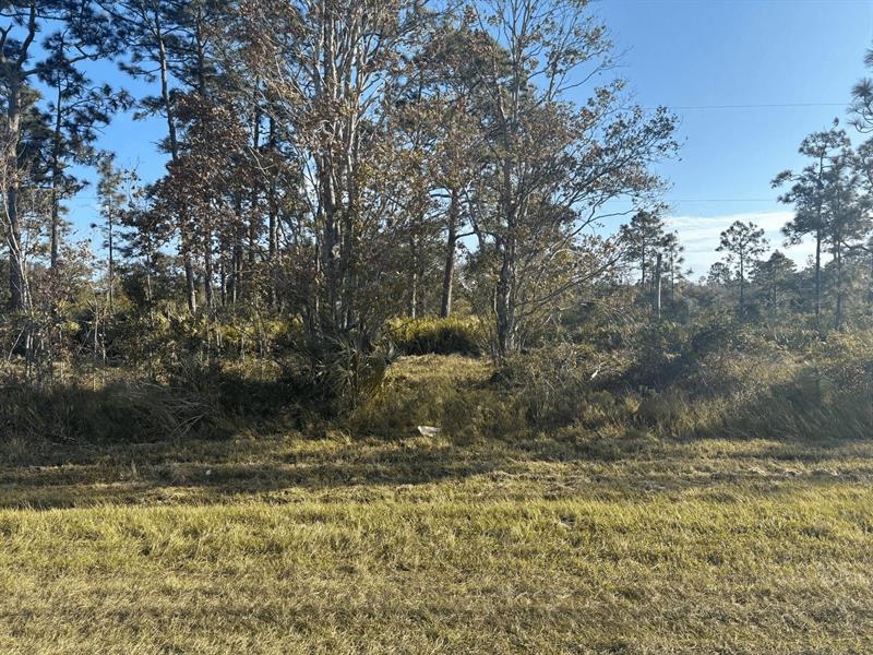 NW 24th Drive Okeechobee FL 34972