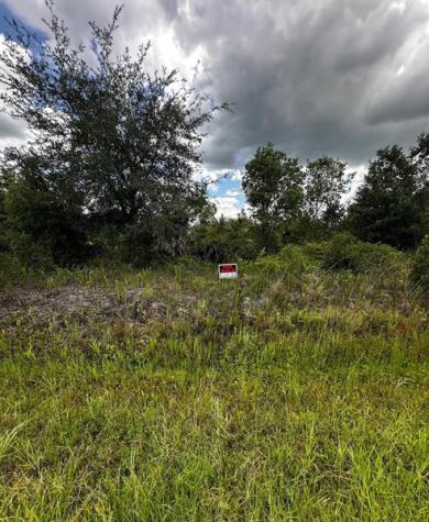 16114 NW 262nd Street Okeechobee FL 34972