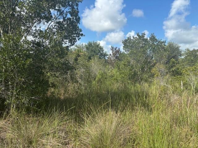 NW 316th Street Okeechobee FL 34972