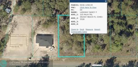19 Guava Pass Ocklawaha FL 32179