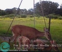 725 Moon Ranch Road Sebring FL 33870