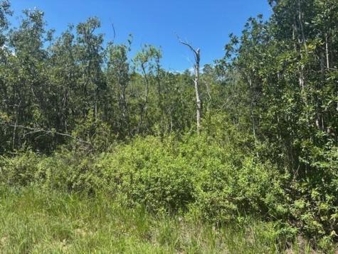 Sweet Hill Road Other City - In The State Of Florida FL 33868