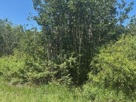 Sweet Hill Road Other City - In The State Of Florida FL 33868