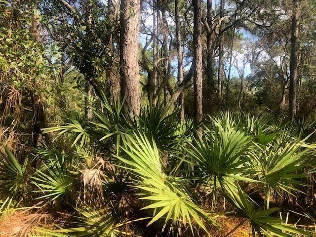 Old Grade Road Other City - In The State Of Florida FL 33868