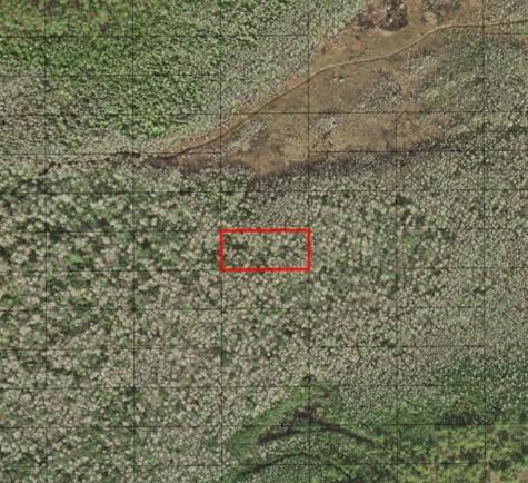 Holopaw Groves Road St. Cloud FL 34772