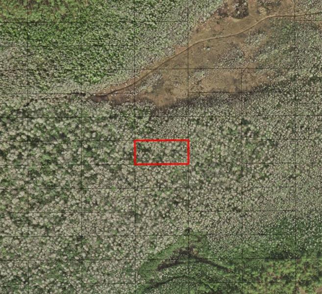 Holopaw Groves Road St. Cloud FL 34772
