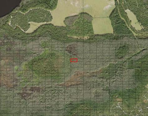 Holopaw Groves Road St. Cloud FL 34772