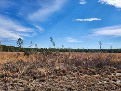 80?? 211 Court Live Oak FL 32060