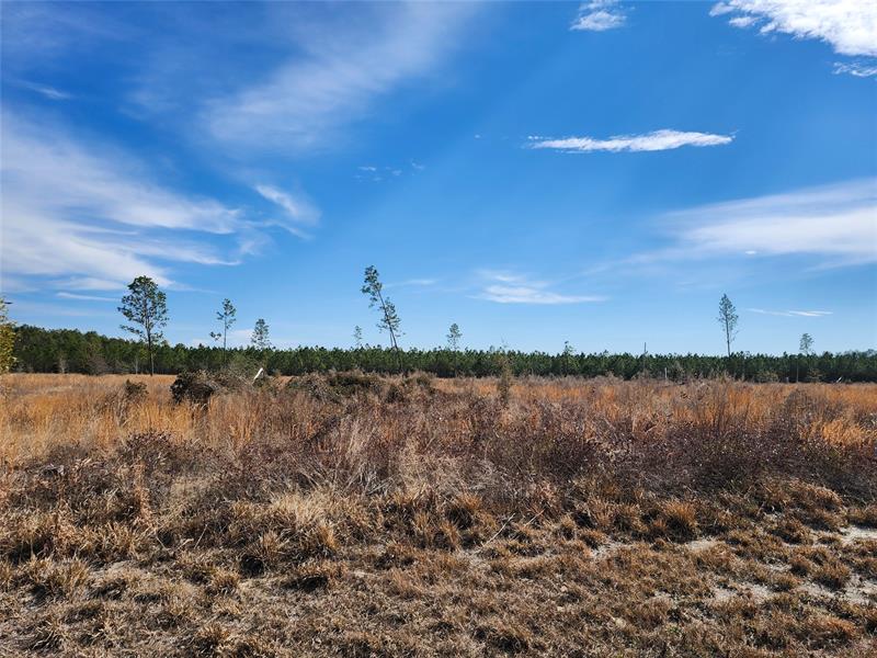 80?? 211 Court Live Oak FL 32060