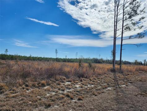80?? 211 Court Live Oak FL 32060