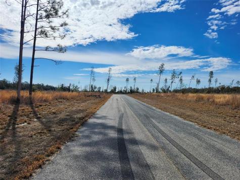 80?? 211 Court Live Oak FL 32060