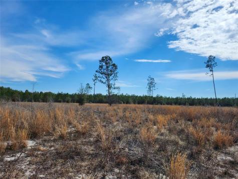 80?? 211 Court Live Oak FL 32060