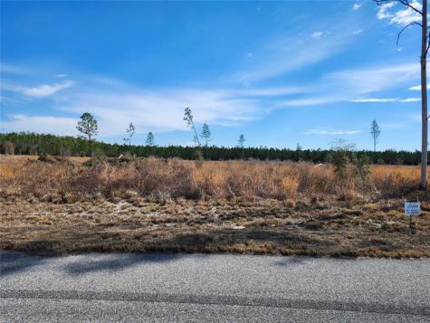 80?? 211 Court Live Oak FL 32060