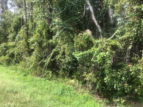 State Road 33 Clermont FL 34711