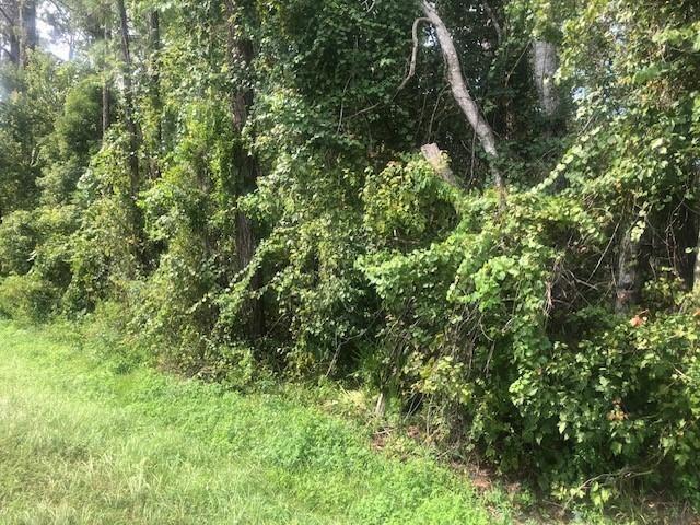 State Road 33 Clermont FL 34711