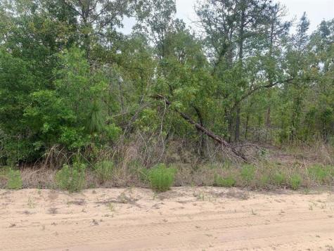 May Lane Interlachen FL 32148