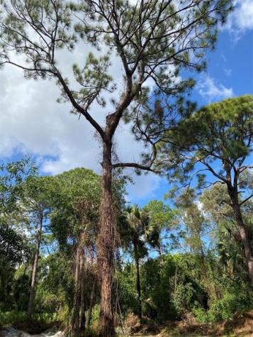 17987 32ND Lane N Loxahatchee FL 33470