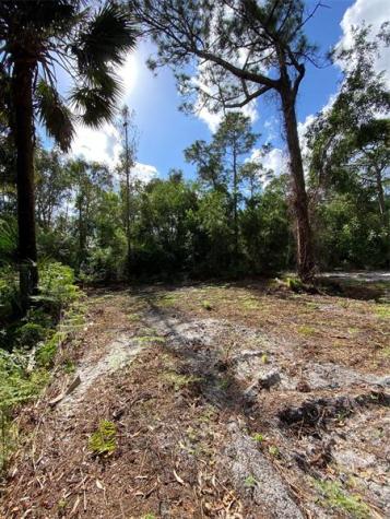 17987 32ND Lane N Loxahatchee FL 33470