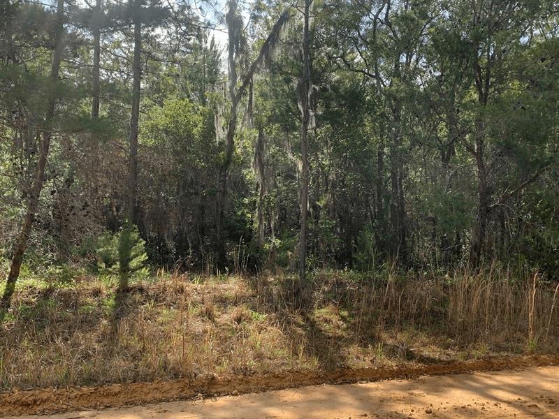 Shappell Avenue Interlachen FL 32148