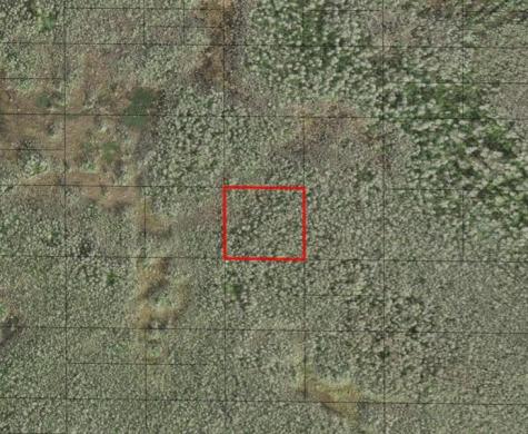 Holopaw Groves Road St. Cloud FL 34772