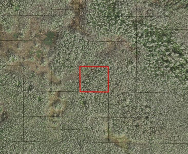 Holopaw Groves Road St. Cloud FL 34772