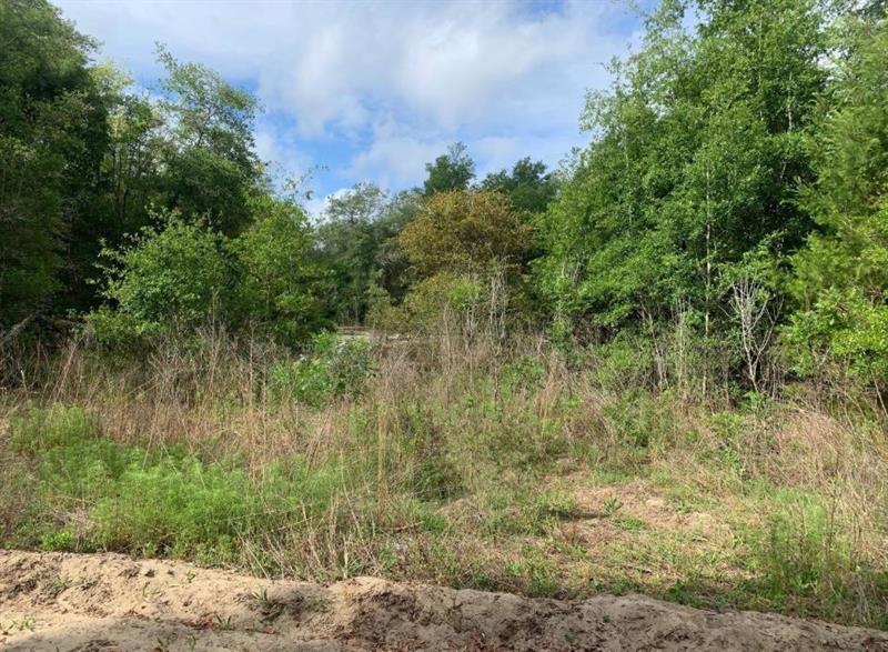 Douglas Drive Interlachen FL 32148
