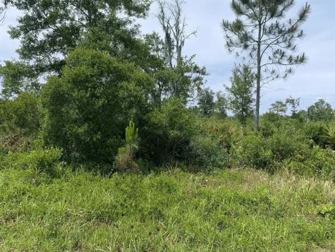 County Road 54 E Kathleen FL 33849