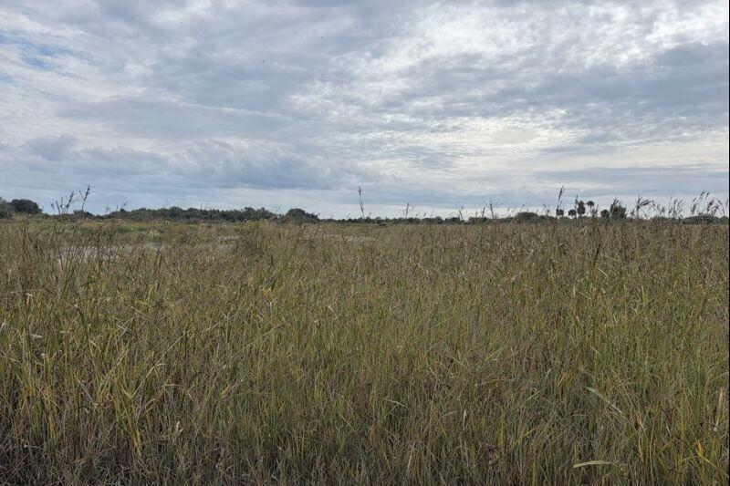 NW 306th Street Okeechobee FL 34972