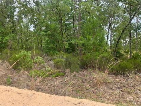 Miami Street Interlachen FL 32148