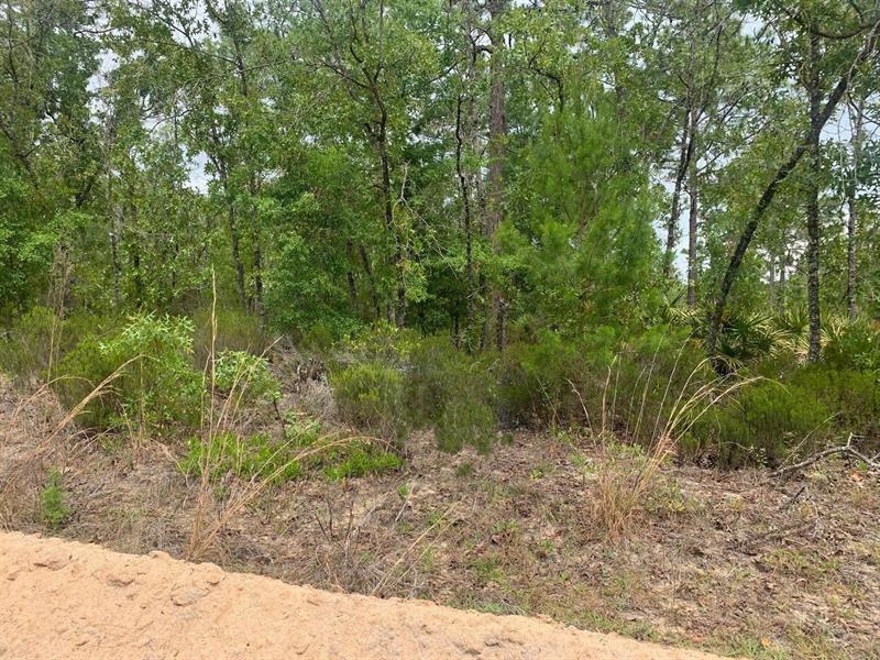 Miami Street Interlachen FL 32148