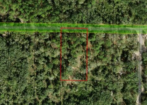 County Road 54 E Kathleen FL 33849