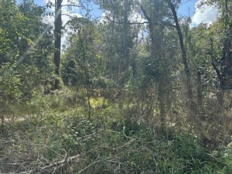 County Road 54 E Kathleen FL 33849