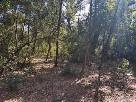 County Road 54 E Kathleen FL 33849