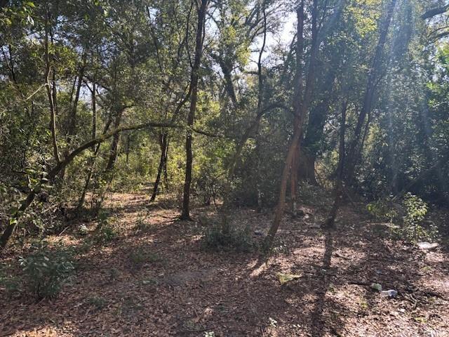 County Road 54 E Kathleen FL 33849