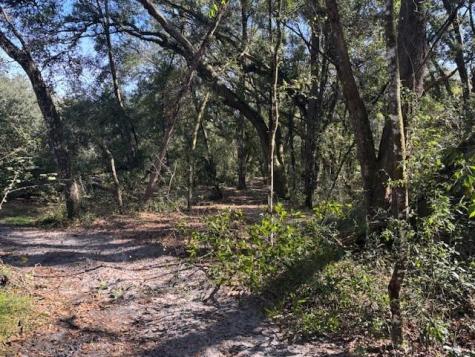 County Road 54 E Kathleen FL 33849
