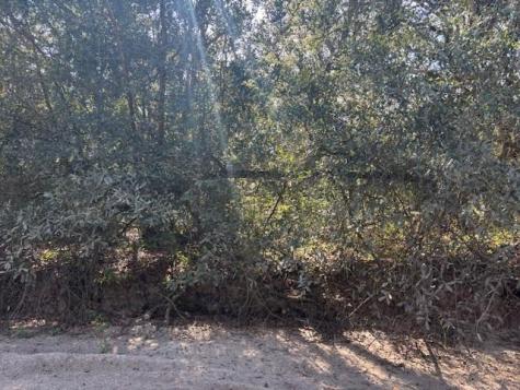 County Road 54 E Kathleen FL 33849