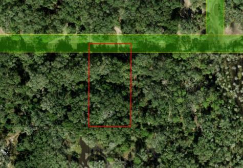 County Road 54 E Kathleen FL 33849