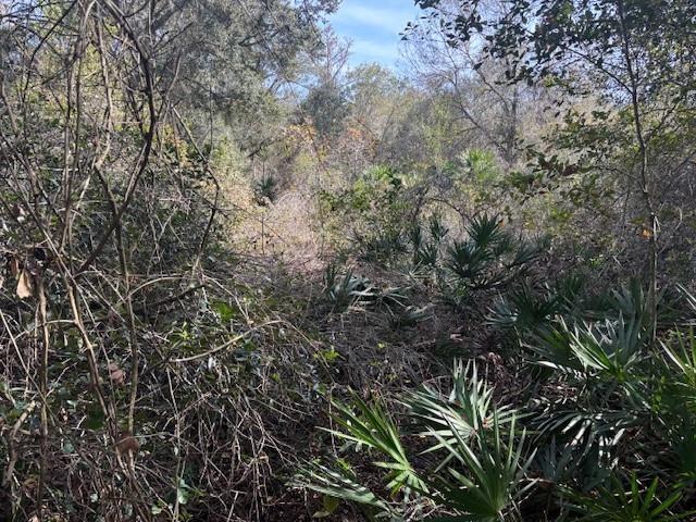 County Road 54 E Kathleen FL 33849
