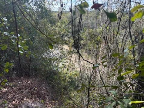 County Road 54 E Kathleen FL 33849