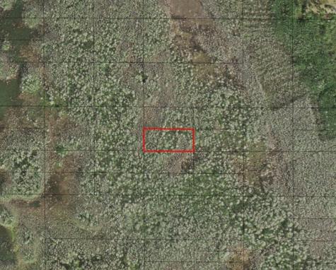 Holopaw Groves Road St. Cloud FL 34772