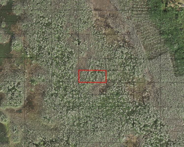 Holopaw Groves Road St. Cloud FL 34772